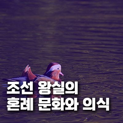 조선 왕실의 혼례 문화와 의식 - 조선 시대 왕실과 양반층의 혼례식 절차와 사회문화적 의미